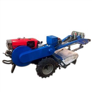 Suministro de fábrica Precio barato Motor diesel agrícola Tractor de 2 ruedas